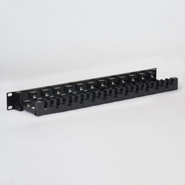 CAT6A UTP Patch Panel with 24 Ports and 1 RMS